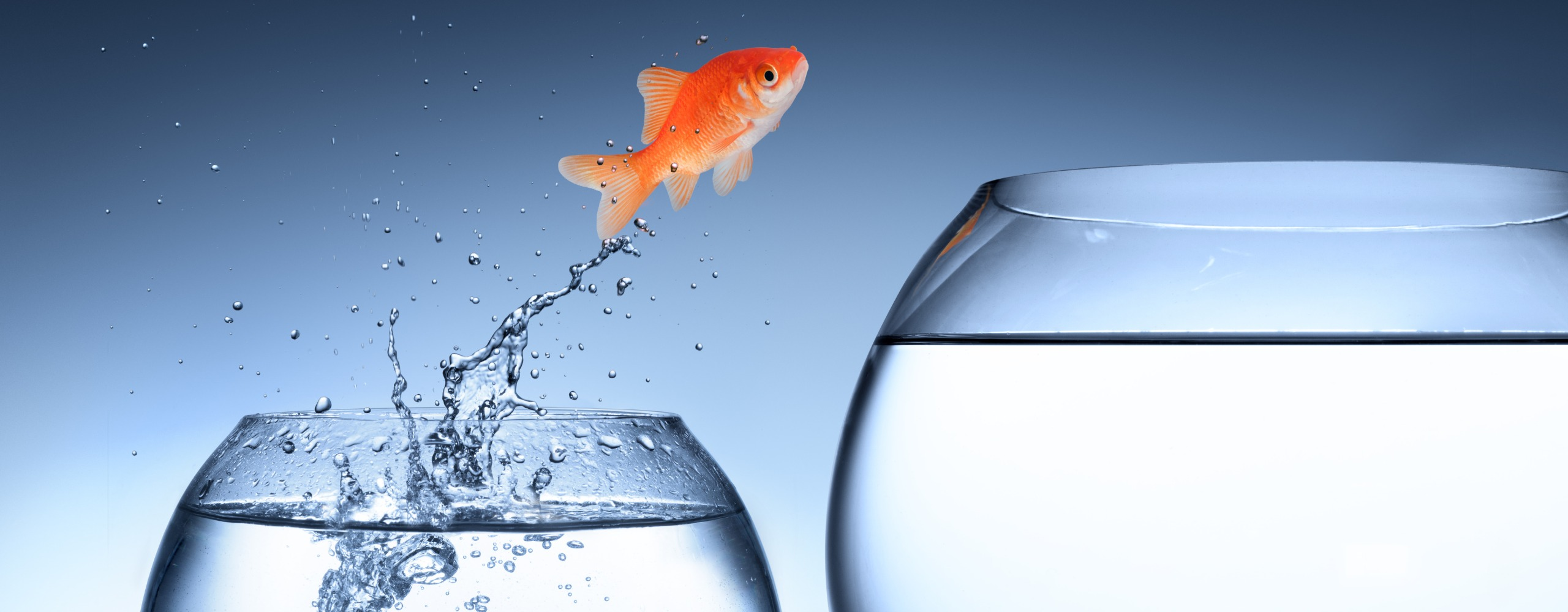 Breathing New Life: Revitalizing a Church for the Future – Part 1