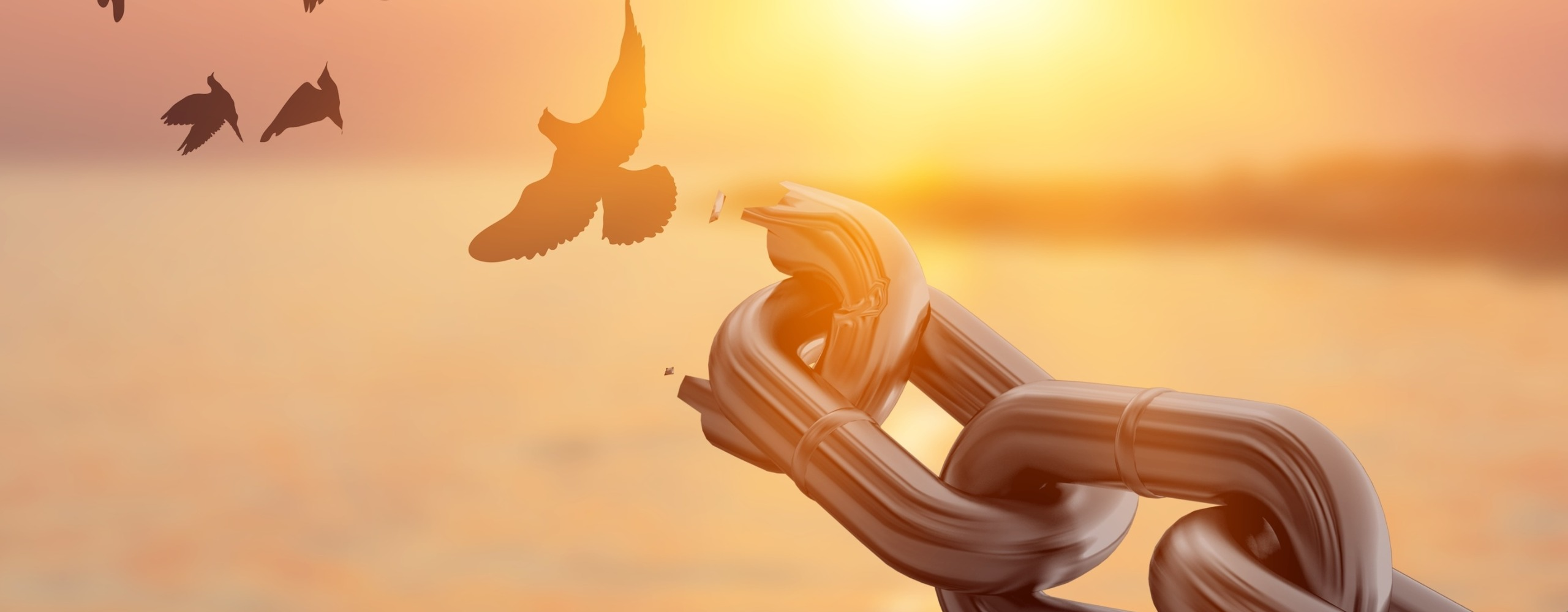 The Truth About Forgiveness